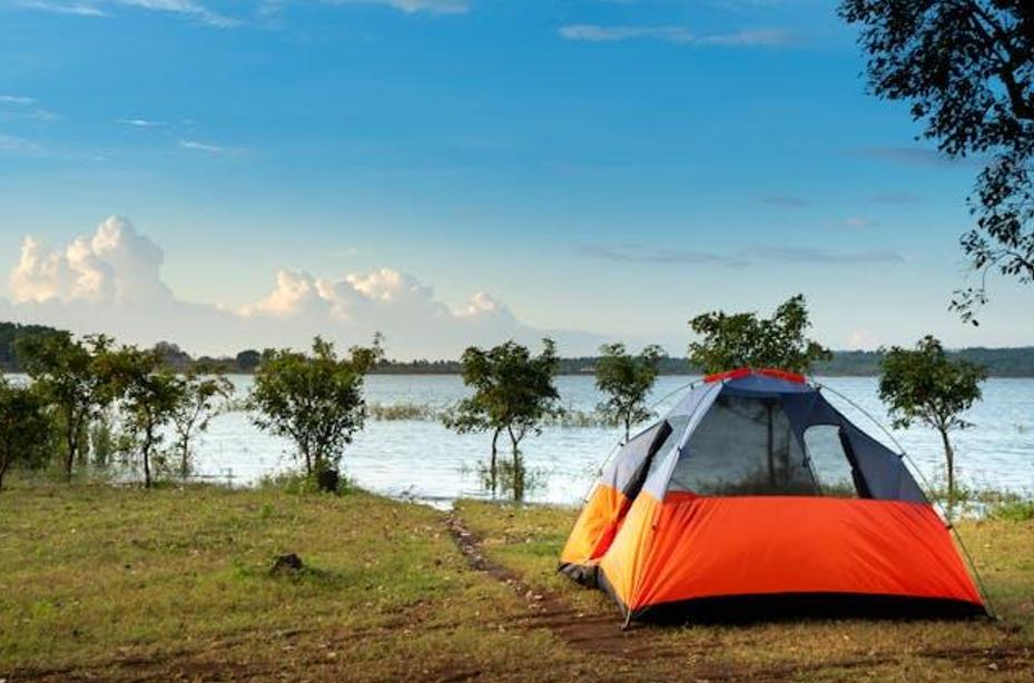 Carpas