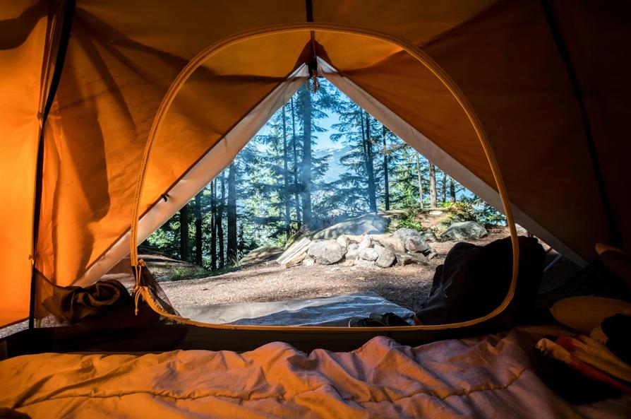 Carpas