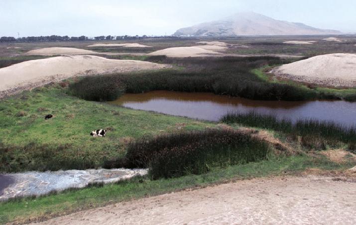 Zona Reservada Humedales de Puerto Viejo