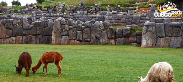 Sacsayhuaman / Saqsaywaman