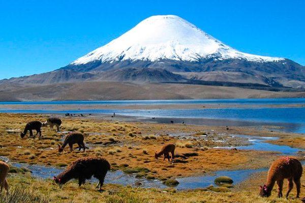 Reserva Nacional Salinas y Aguada Blanca