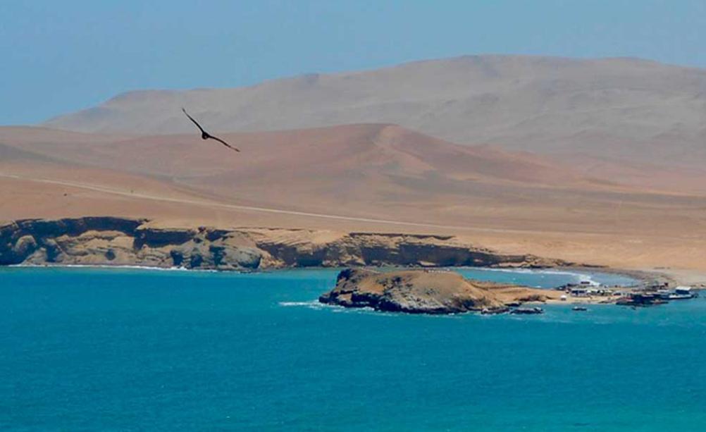 Reserva Nacional de Paracas