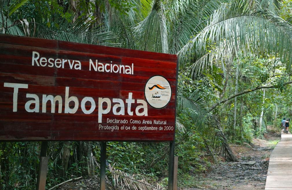 Reserva Nacional Tambopata