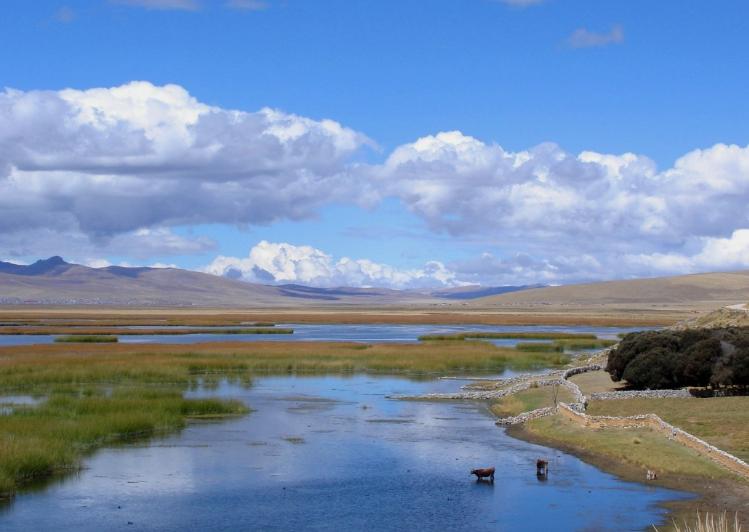Reserva Nacional de Junín