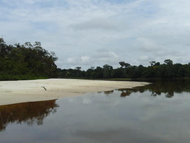 Reserva Nacional Allpahuayo Mishana