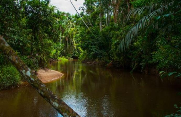 Parque Nacional Gueppí-Sekime