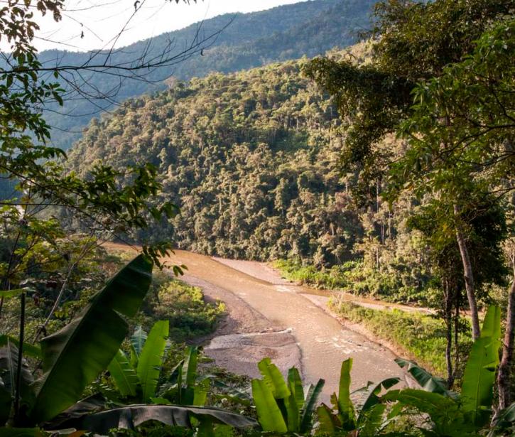 Parque Nacional Bahuaja Sonene