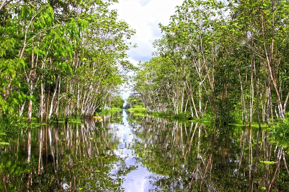 Parque Nacional Yaguas