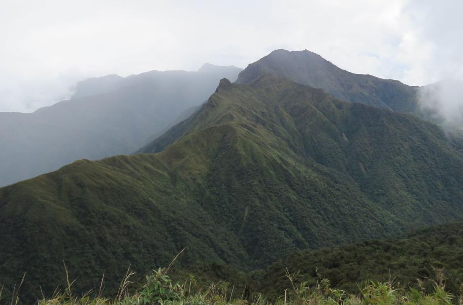 Santuario Nacional Cordillera de Colán