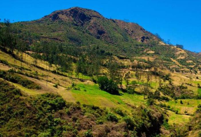 Coto de Caza Sunchubamba