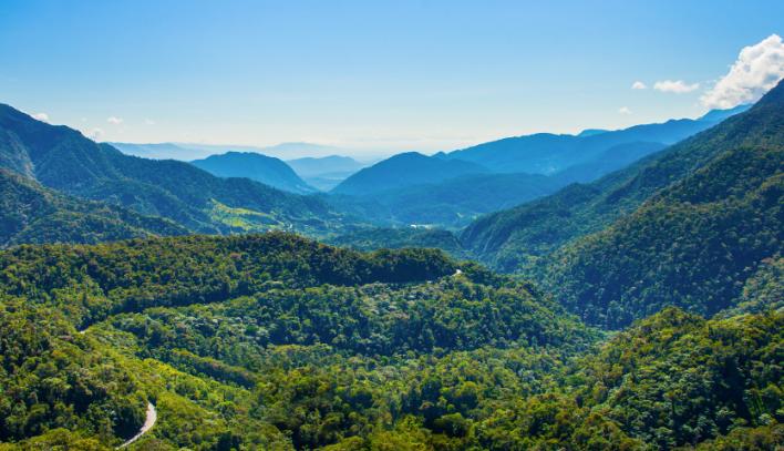 Bosque de Protección Alto Mayo
