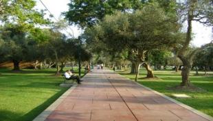 Imagen Parque El Olivar