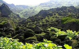 Lomas de Mangomarca