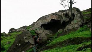 Imagen Lomas de Lúcumo