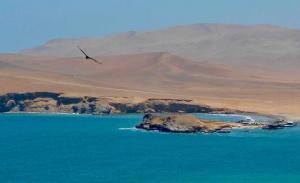 Reserva Nacional de Paracas