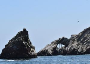 Imagen Islas Ballestas