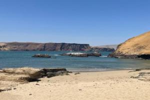 Imagen Playa Lagunilla