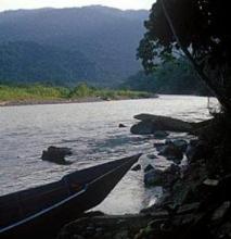 Imagen Orillas del Parque Nacional Del Río Abi