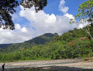 Parque Nacional del Río Abiseo