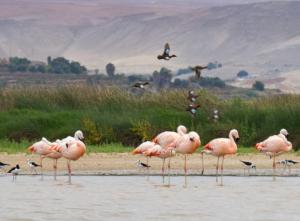 Santuario Nacional Lagunas de Mejía