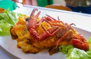 Causa chancayana