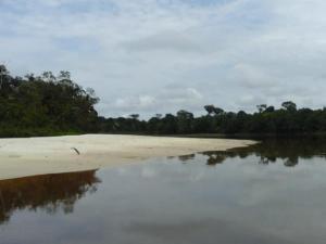 Reserva Nacional Allpahuayo Mishana