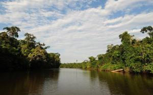 Imagen Parque Nacional Gueppí-Sekime