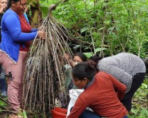 Imagen AGROPERÚ Informa