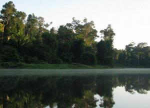 Lago Guacamayo