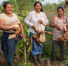 Visita a comunidades indígenas y cultura local