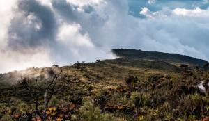 Imagen Santuario Nacional Cordillera de Colán