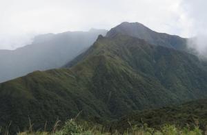 Santuario Nacional Cordillera de Colán