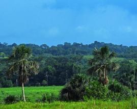 Reserva Comunal Yanesha