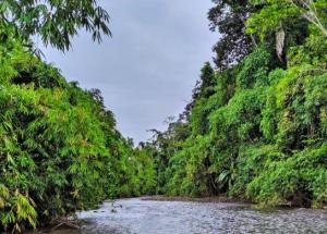 Reserva Comunal Machiguenga