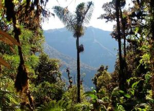 Imagen Parque Nacional Otishi
