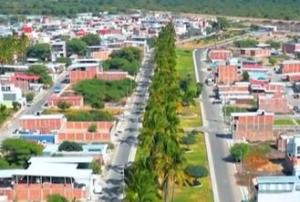 Imagen Las Palmeras
