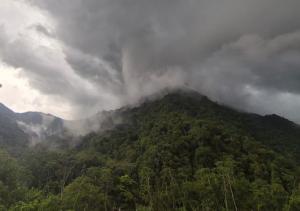 Vista Panorámica