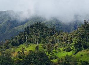 Imagen Panorámica del Parque Nacional