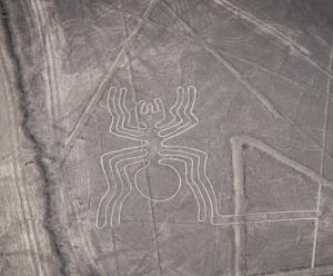 Imagen Geoglifo de Araña