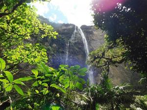 Cascadas - cataratas
